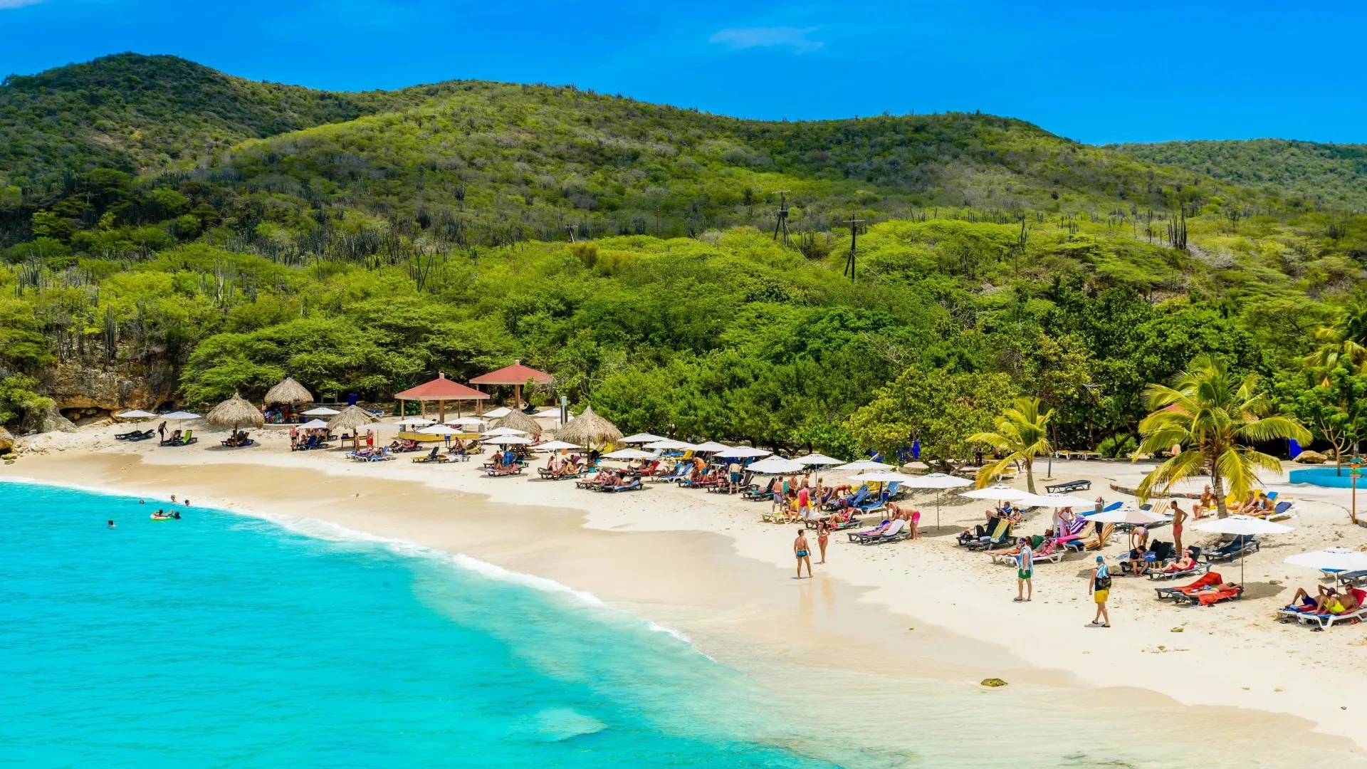 Beach Hopping Tour by Bus in Curacao