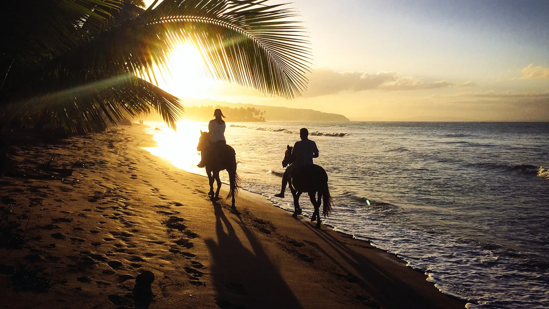 Horseback Riding in Sint Maarten: Sunset Champagne Tour