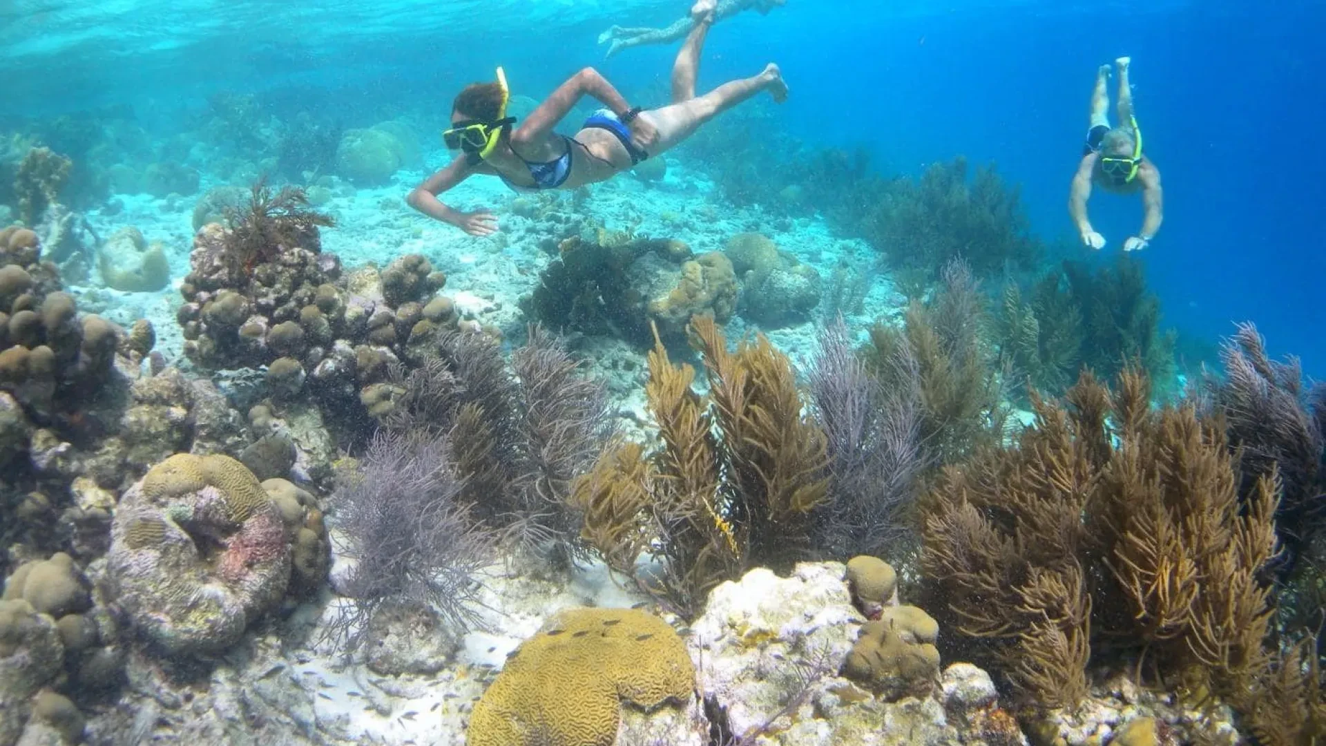 Klein Bonaire Snorkel Tour by Glass Bottom Boat