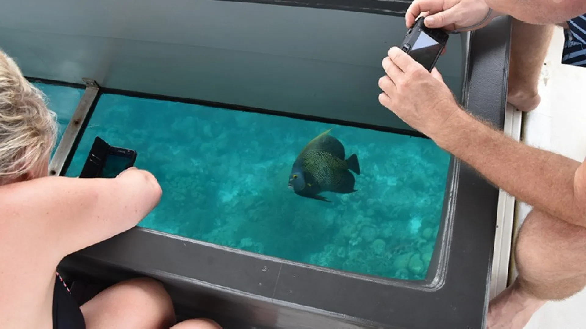 Klein Bonaire Glass Bottom Boat Tour