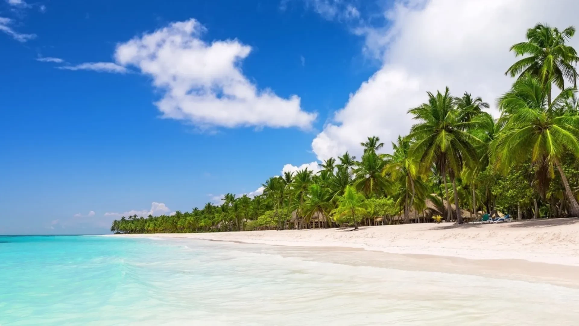 Saona Island Catamaran Daytrip  from Bayahibe