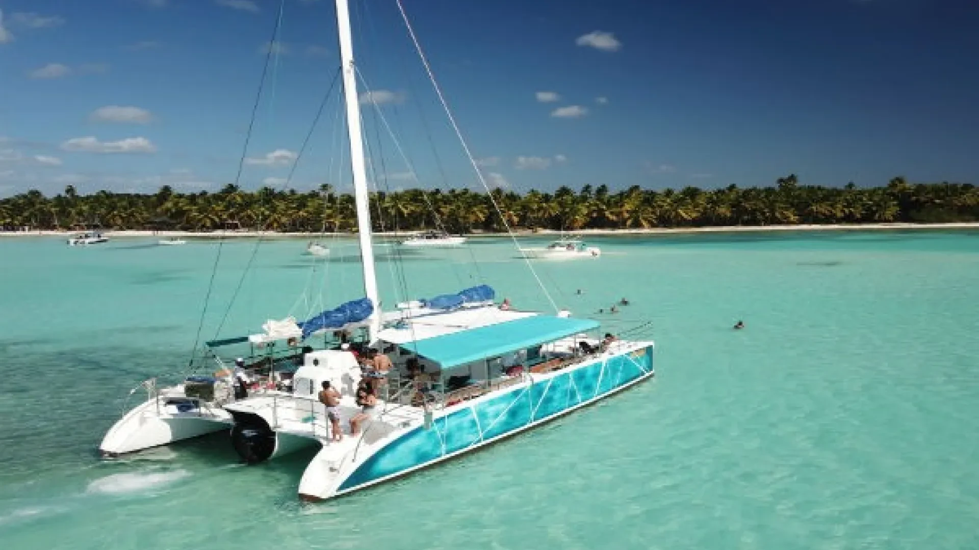 Saona Island Private Sail Catamaran Trip: 50 Person