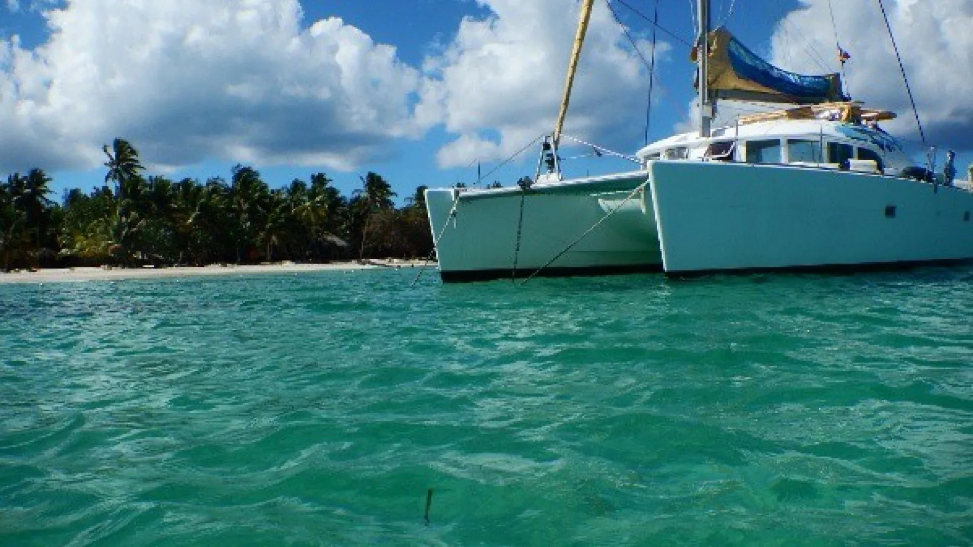 Saona Island Private Sail Catamaran Trip: 12 Person
