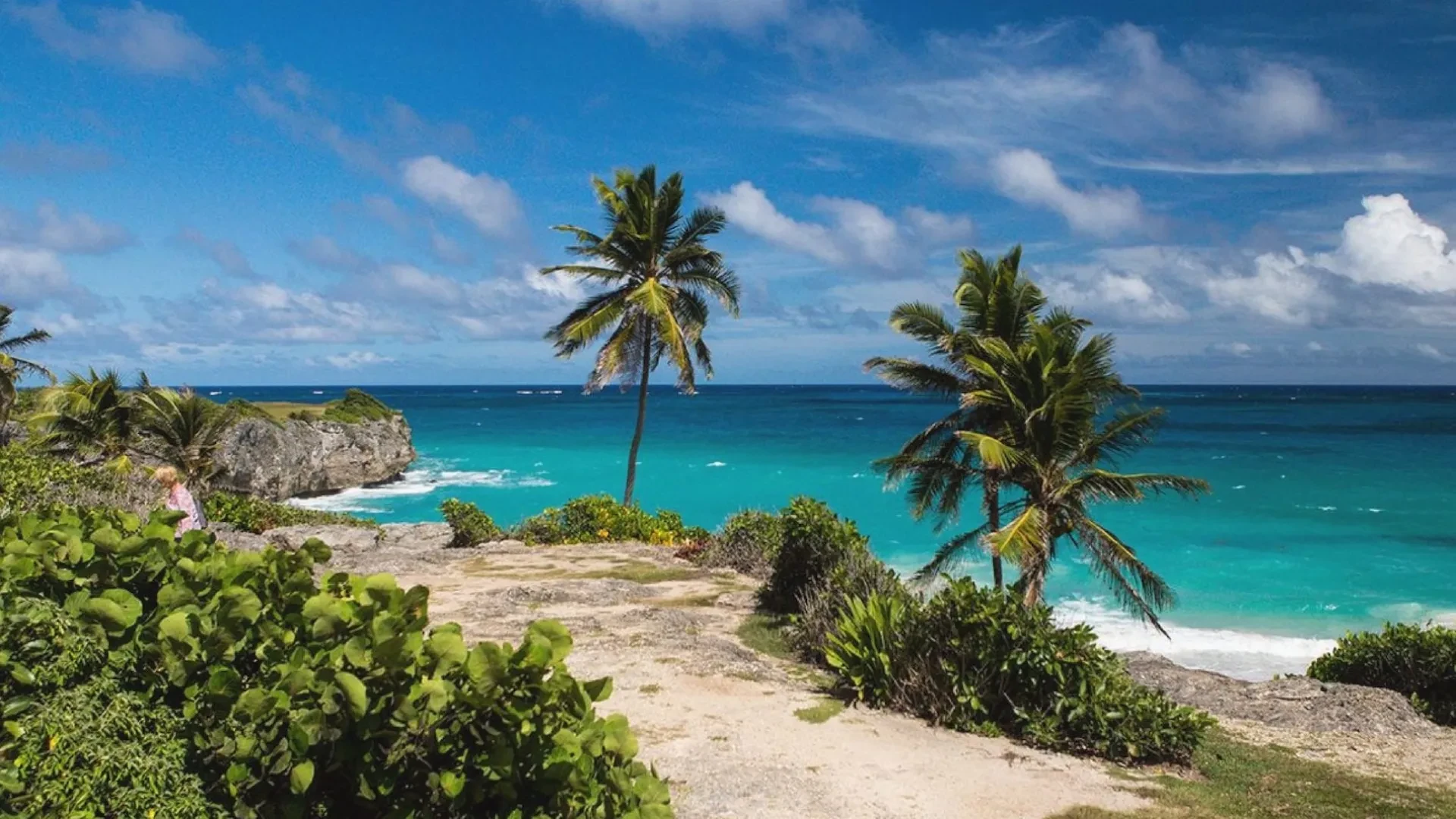 Island Tour by Premium Mini Bus in Barbados: Half-Day