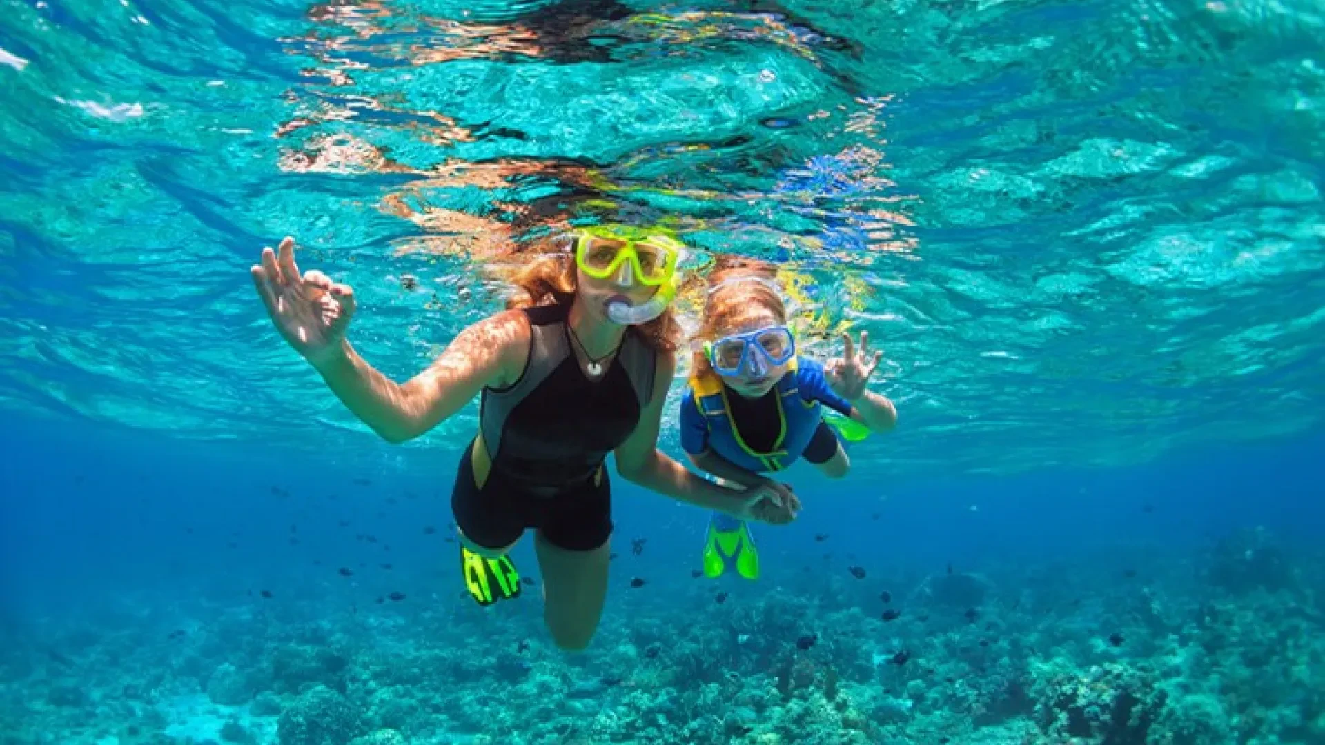 Snorkel and Mimosa Catamaran Excursion in Punta Cana