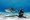 Diver with a tiger shark in the Caribbean Sea