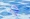 Portuguese Man-of-War floating in the sea