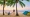 Couple beach camping and sitting in a hammock