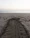 Turtle returns to sea