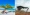 Fofoti and divi divi tree compared