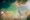 Curacao salt ponds