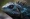 Blue lizard Caribbean