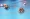 Crab racing