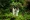 Wedding at Hunte's Garden, Barbados