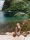 Sugar Beach, a Viceroy Resort, St. Lucia