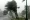 Hurricane Wilma