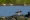 Various birds in the salt flats in Curacao
