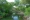 Rif Mangrove Park