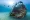 SS Antilla shipreck is a prime location to see marine wildlife in Aruba
