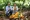 Explore the Dominican countryside and typical products of the area on a guided tour around Punta Cana