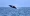 Whales jumping out of the water will surely take your breath away on a whale watching tour around Bacardi Island