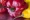 Scotch bonnet peppers