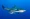 Bullshark in the Caribbean
