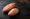 Sweet potato on wooden table
