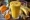 Tropical protein smoothie