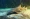 Nurse shark