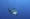 Bull shark