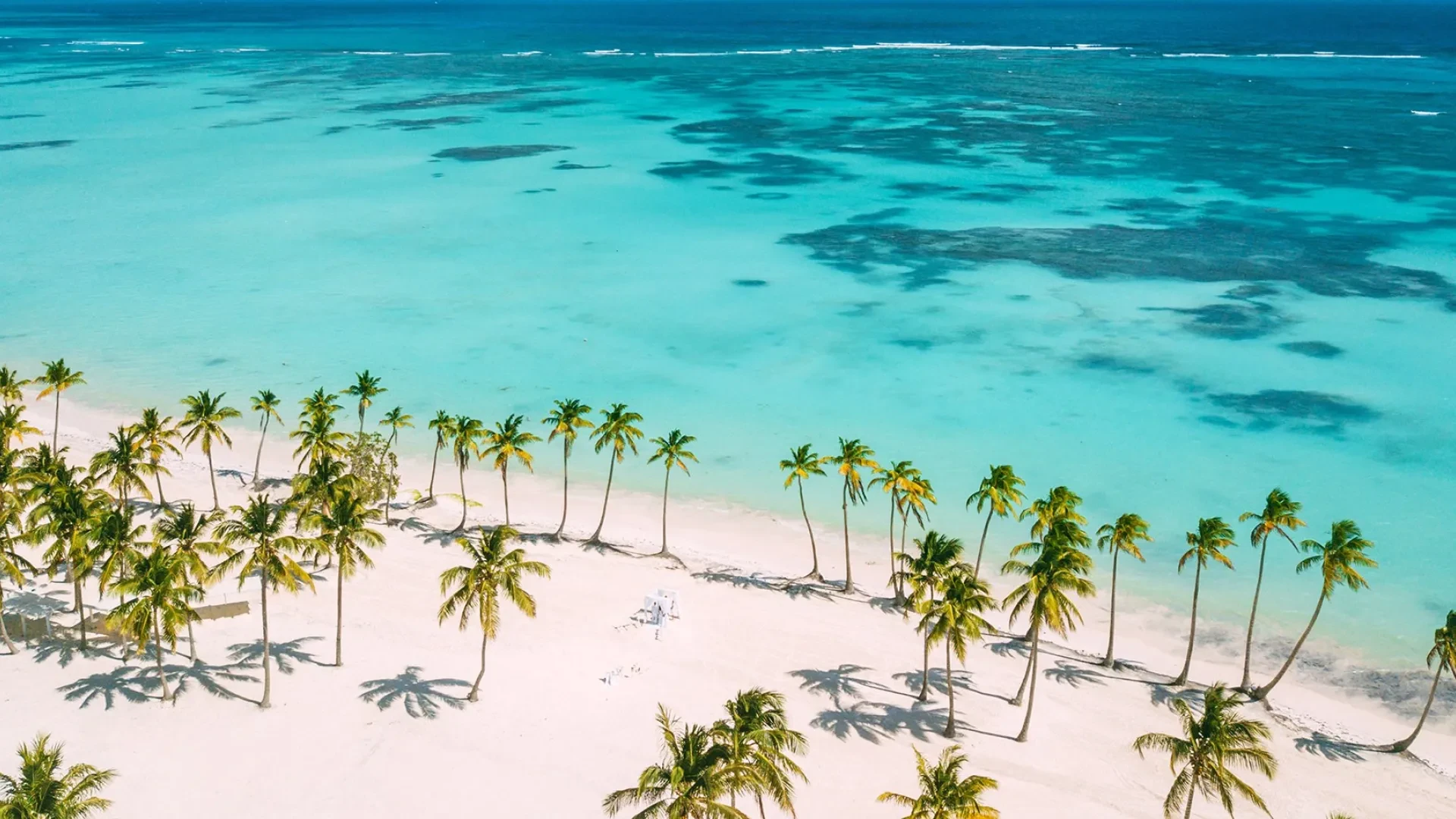 Punta Cana Travel Guide 2025