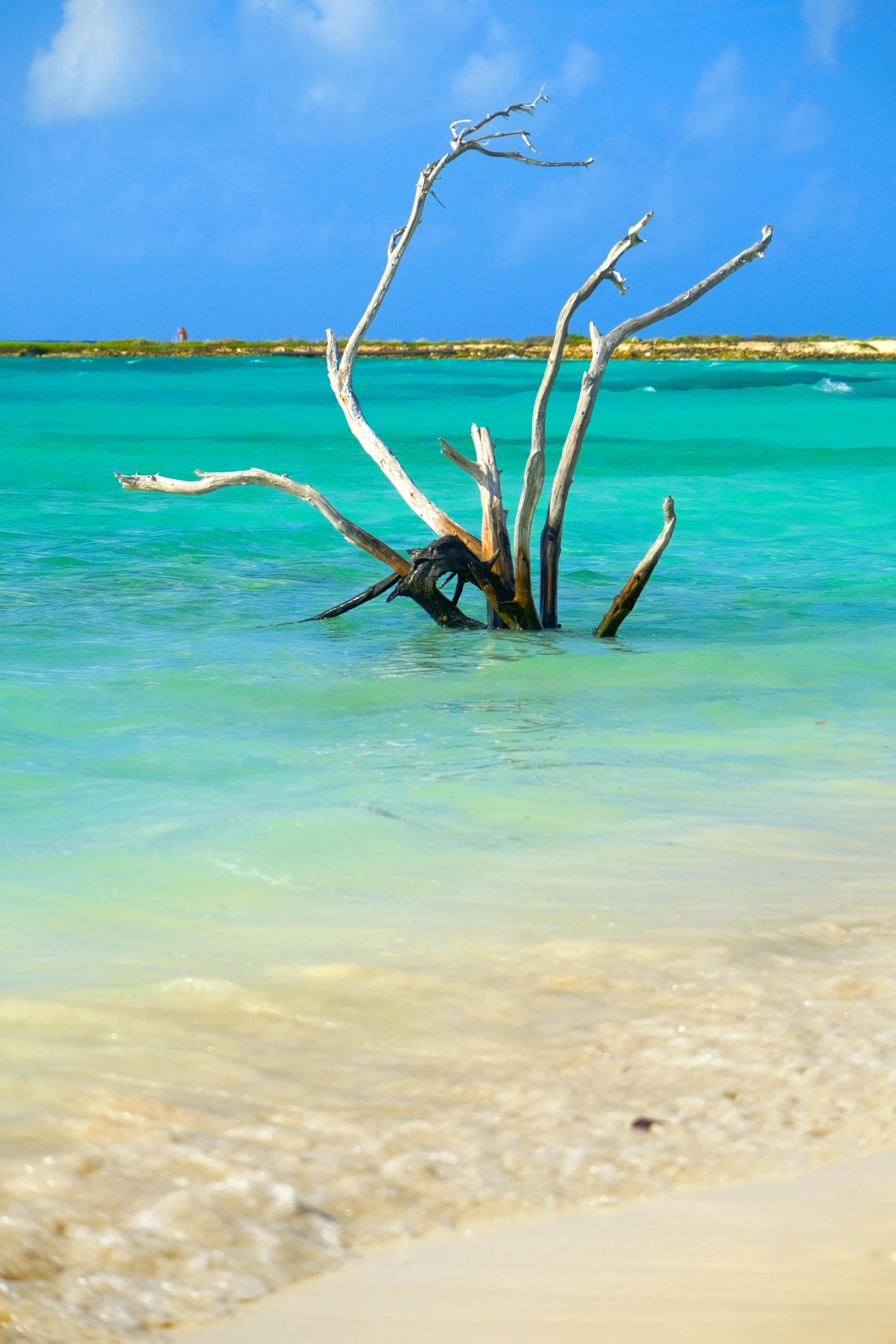 Baby Beach Aruba