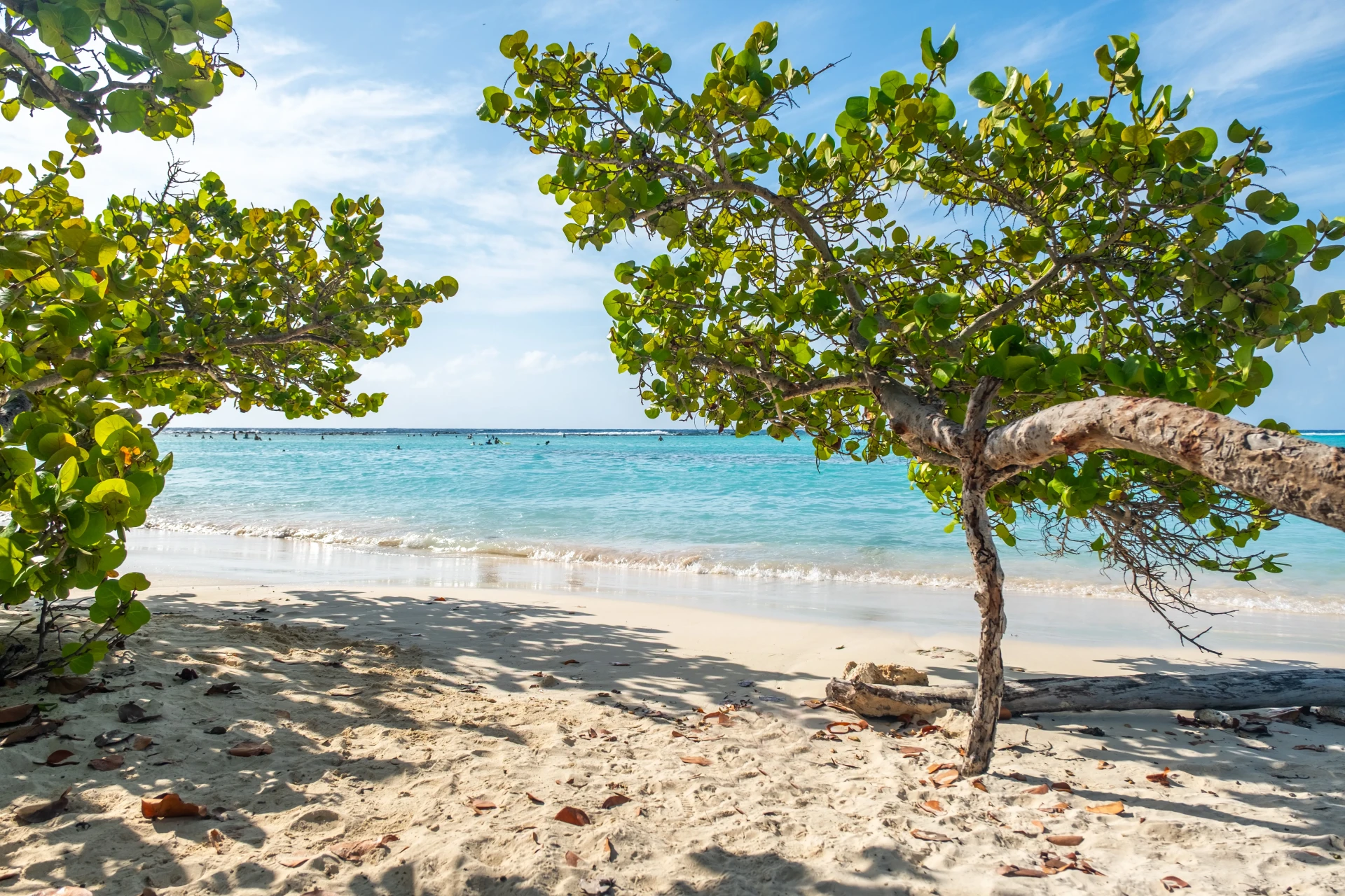 Baby Beach Aruba