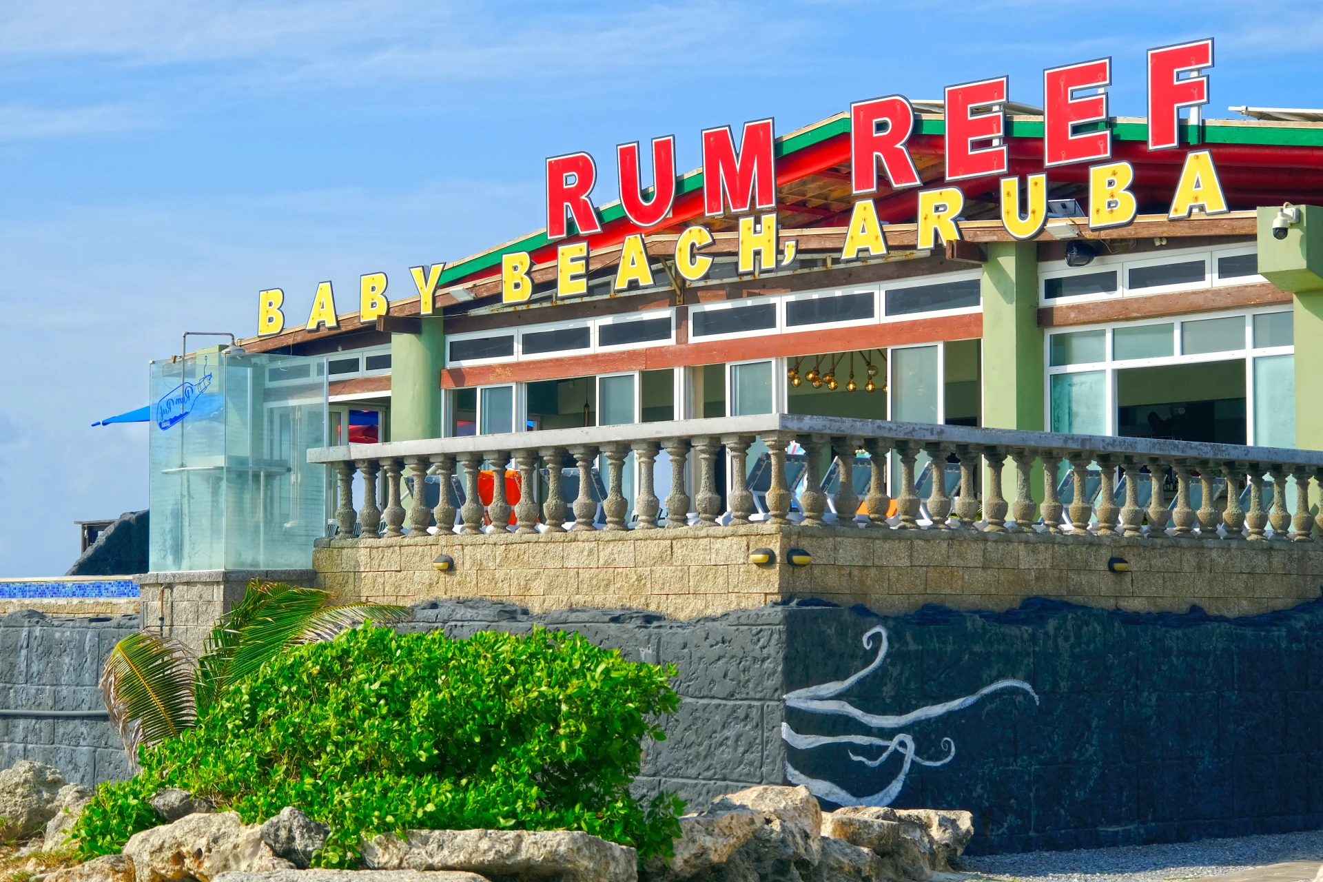 Rum Reef Baby Beach Aruba