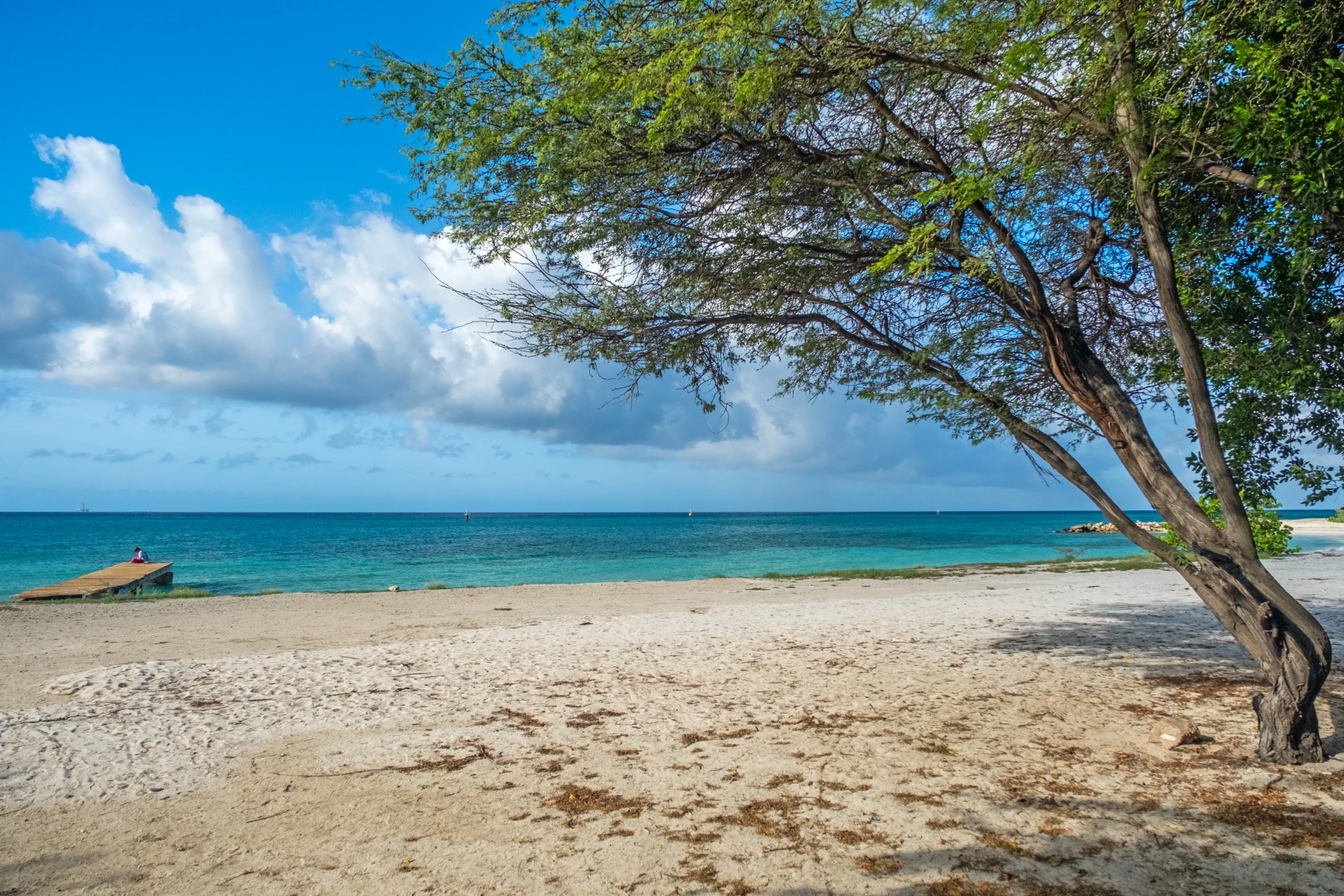 Bushiri Beach Aruba