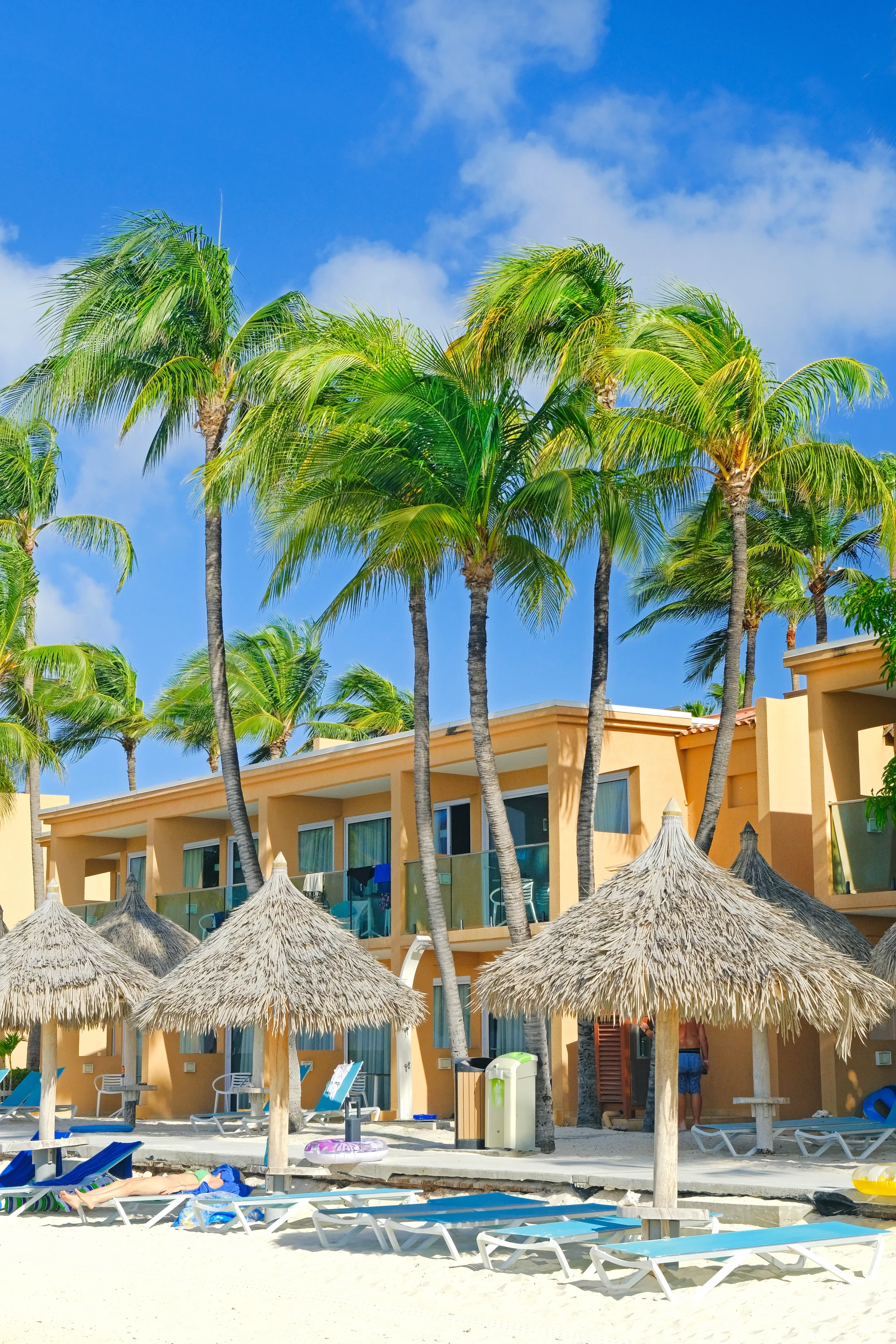 Druif Beach Aruba