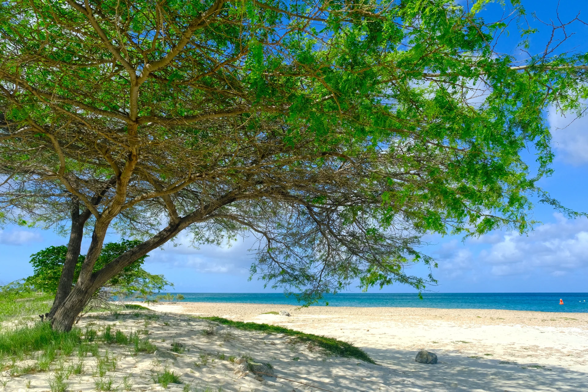 Juanita Beach Aruba