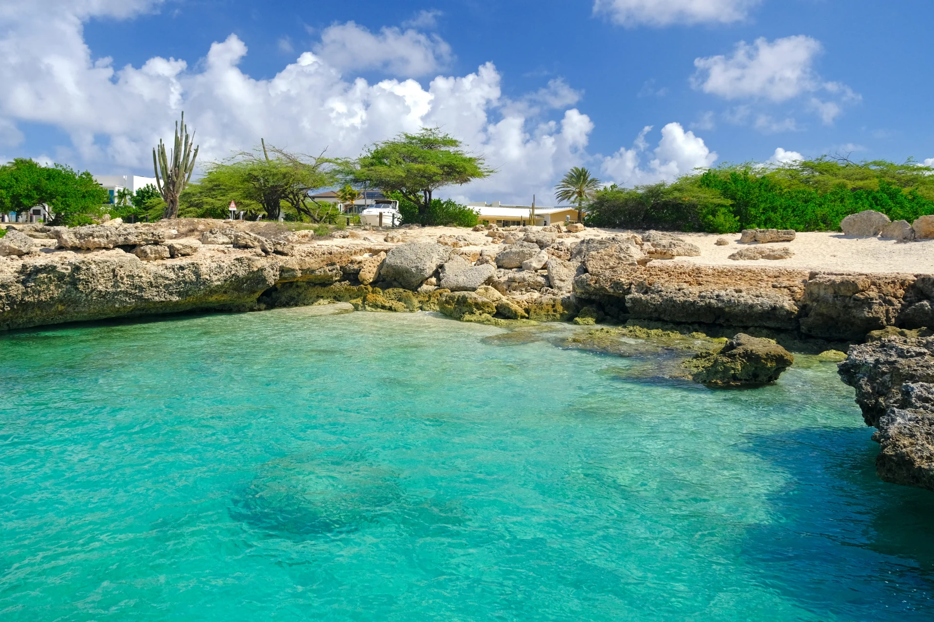 Malmok Beach Aruba