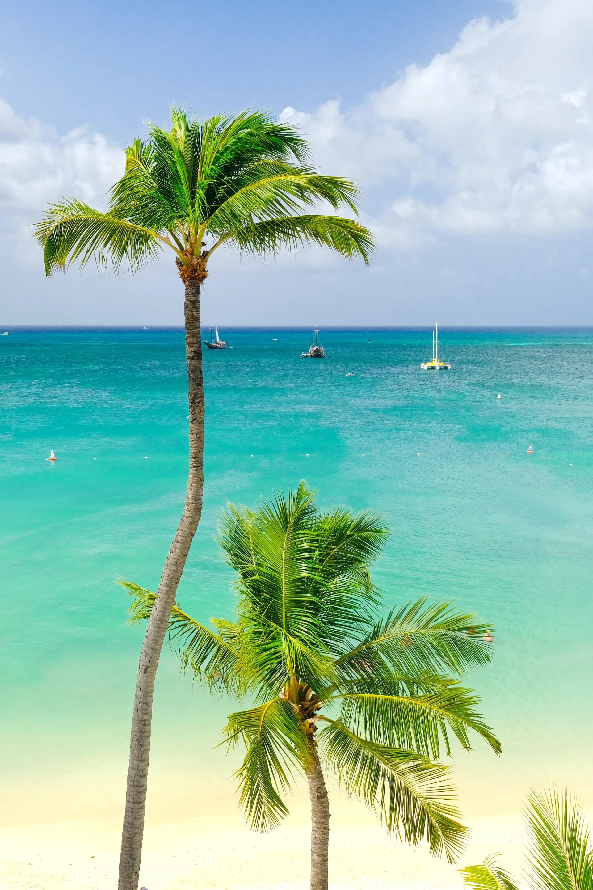 Palm Beach Aruba