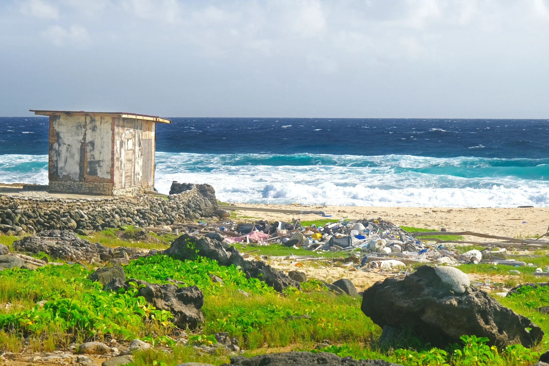 Shack Beach Aruba