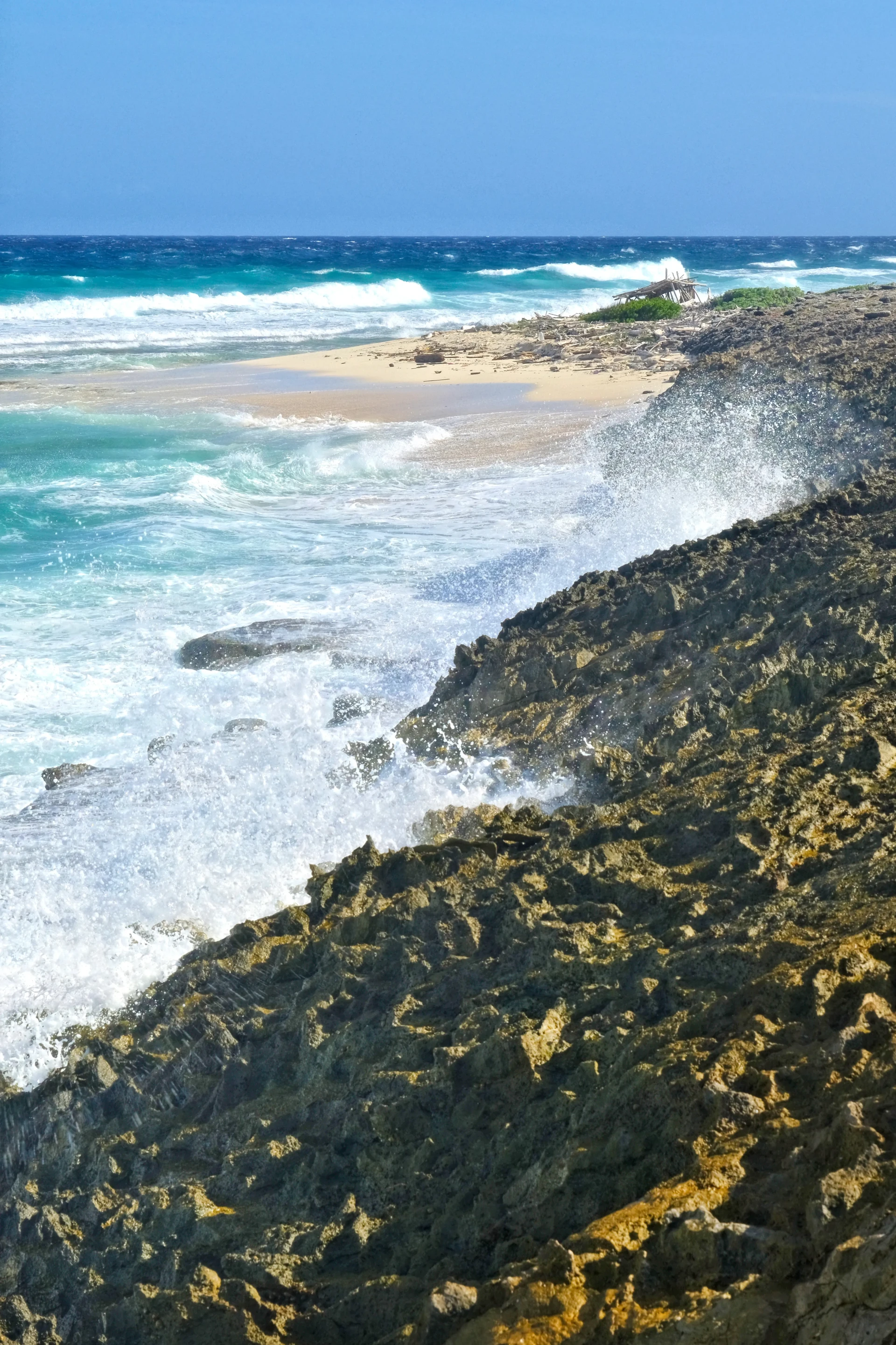 Surfers Beach Aruba