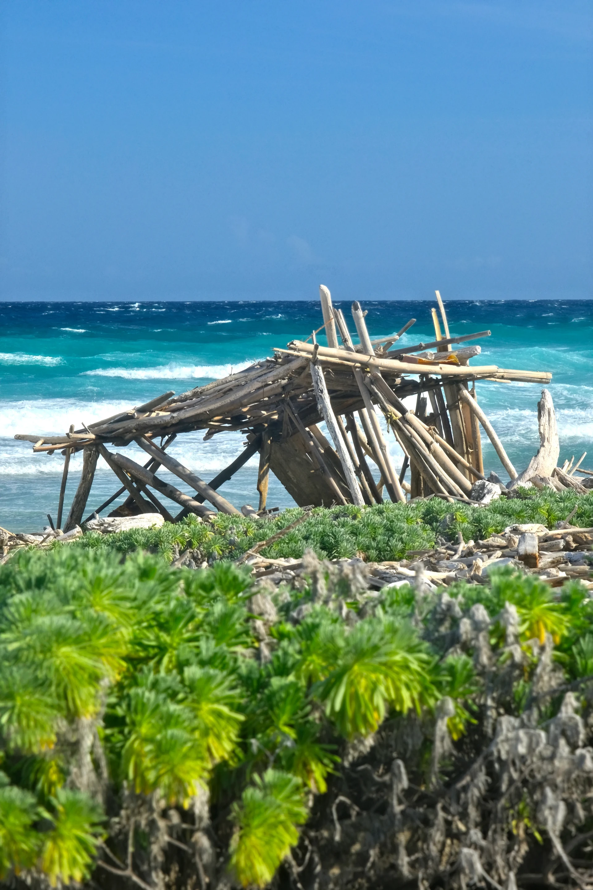 Surfers Beach Aruba