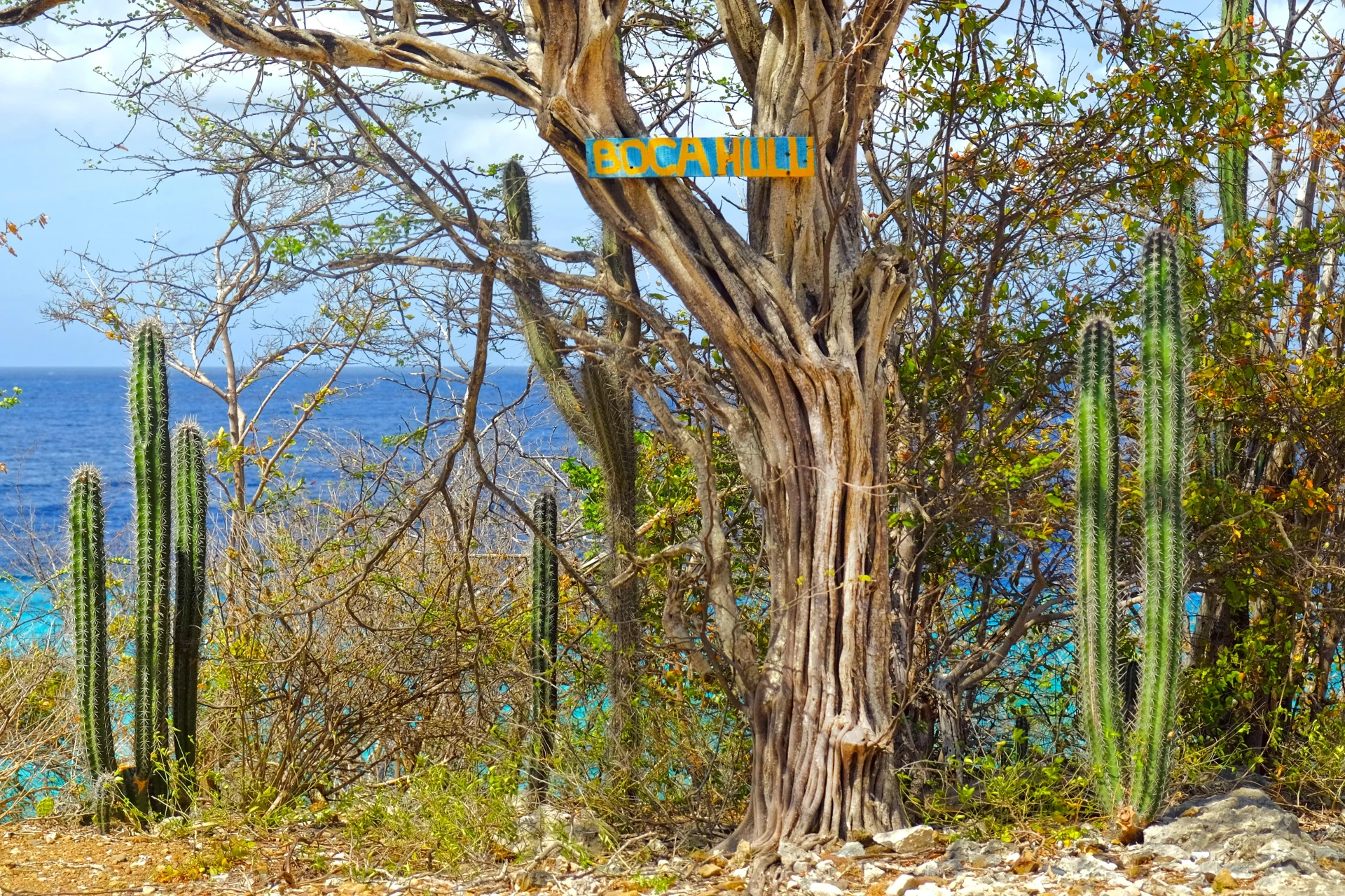 Boka Hulu Curacao
