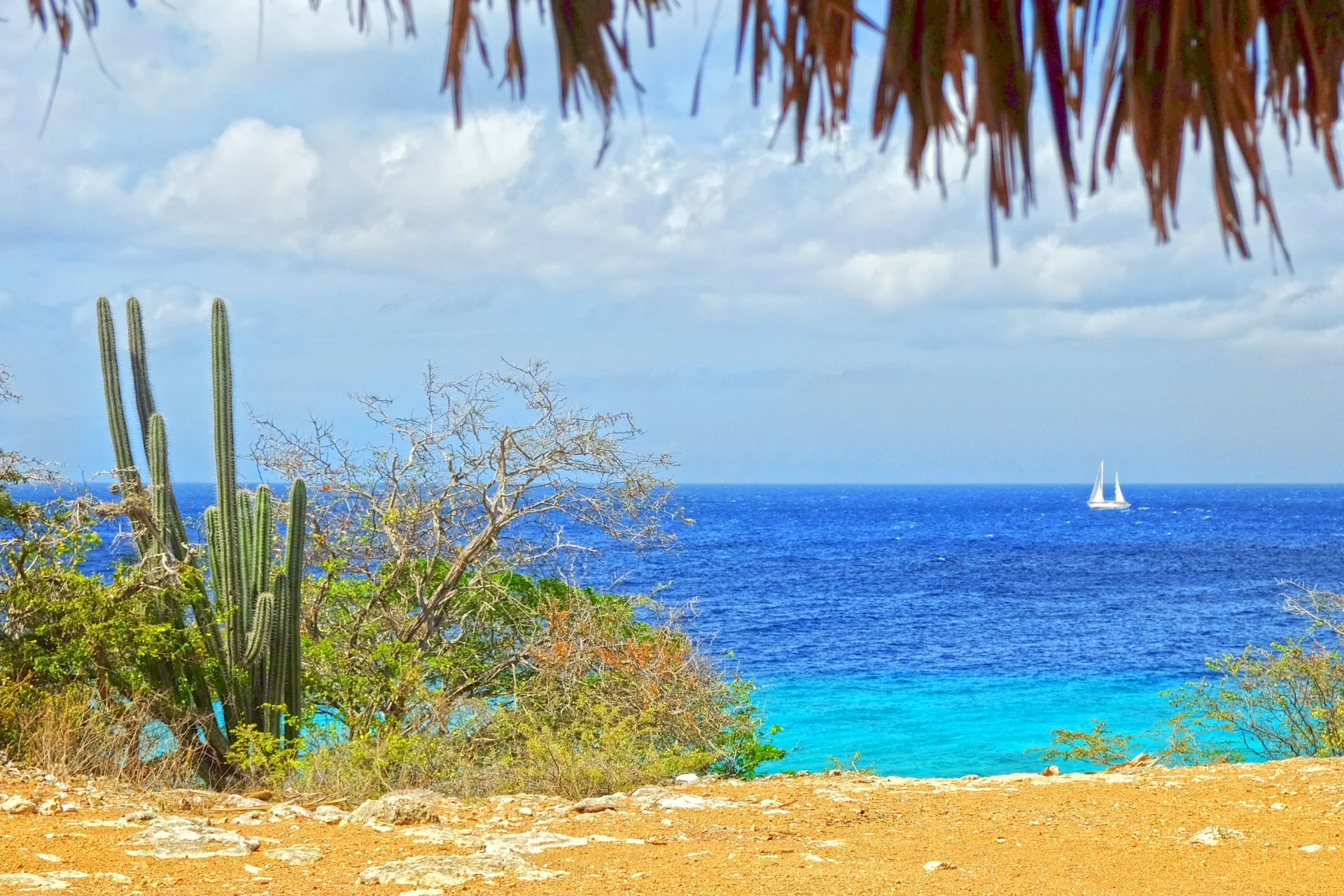 Boka Hulu Curacao