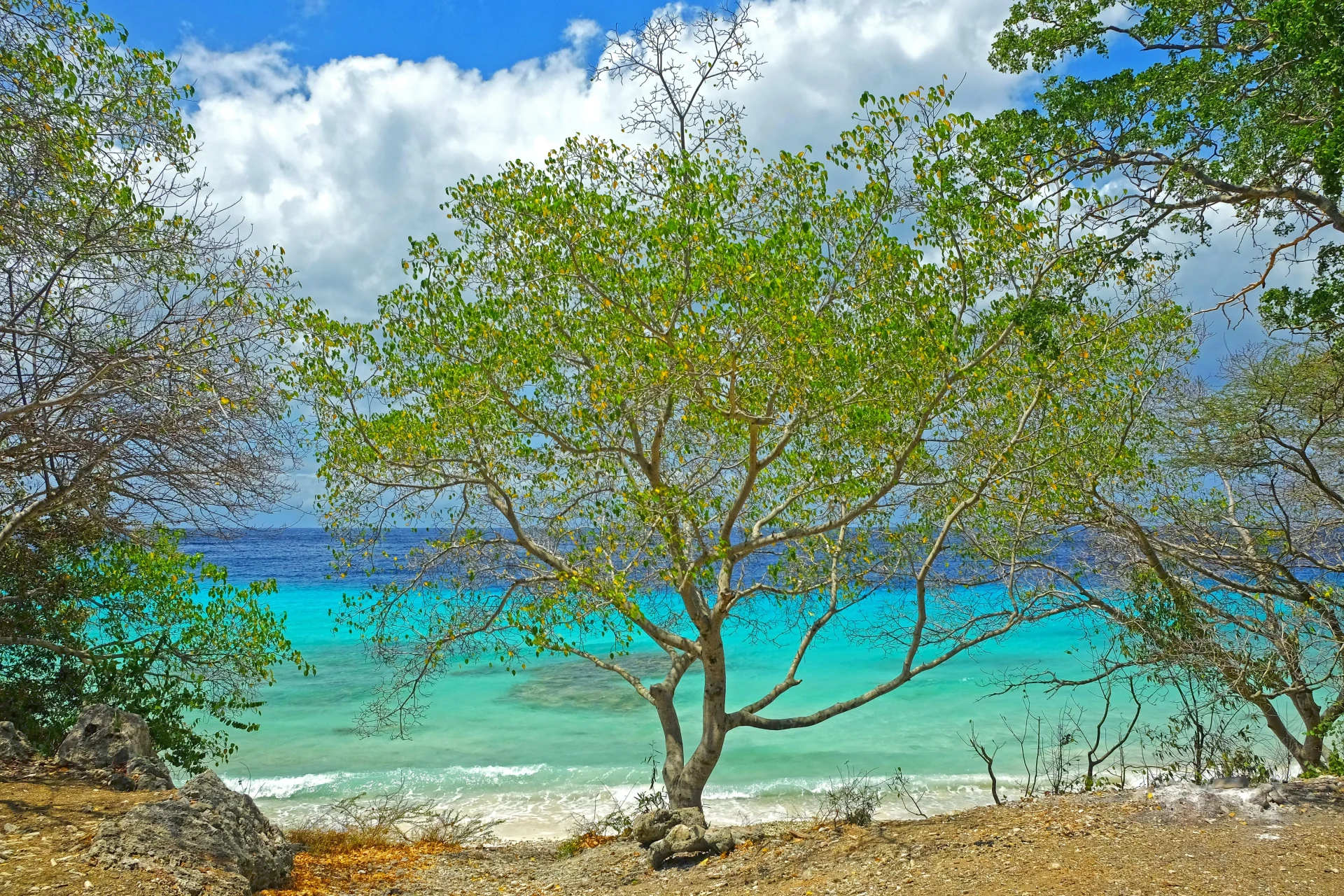 Boka Spanjo Curacao