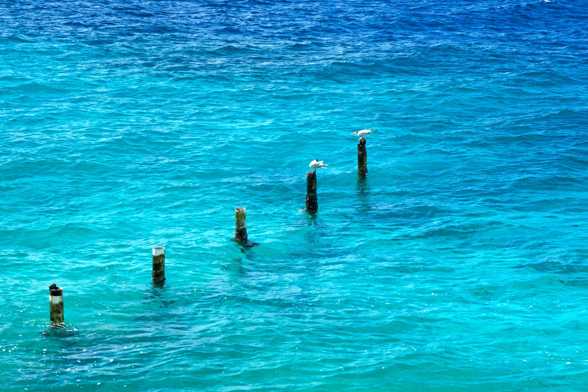 Director's Bay Curacao