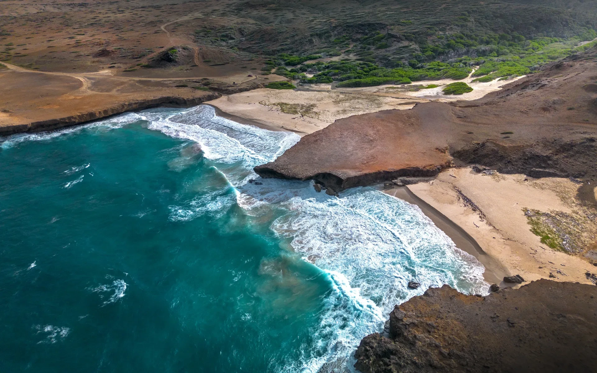 Dos Playa Beach Aruba 2025